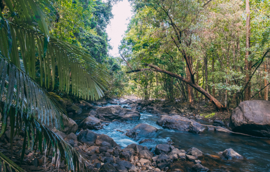 Blog image